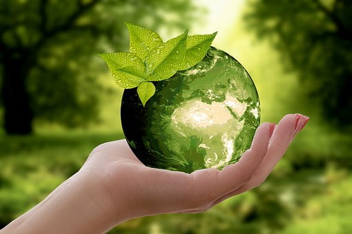 Zero waste na weselu? A dlaczego nie?!